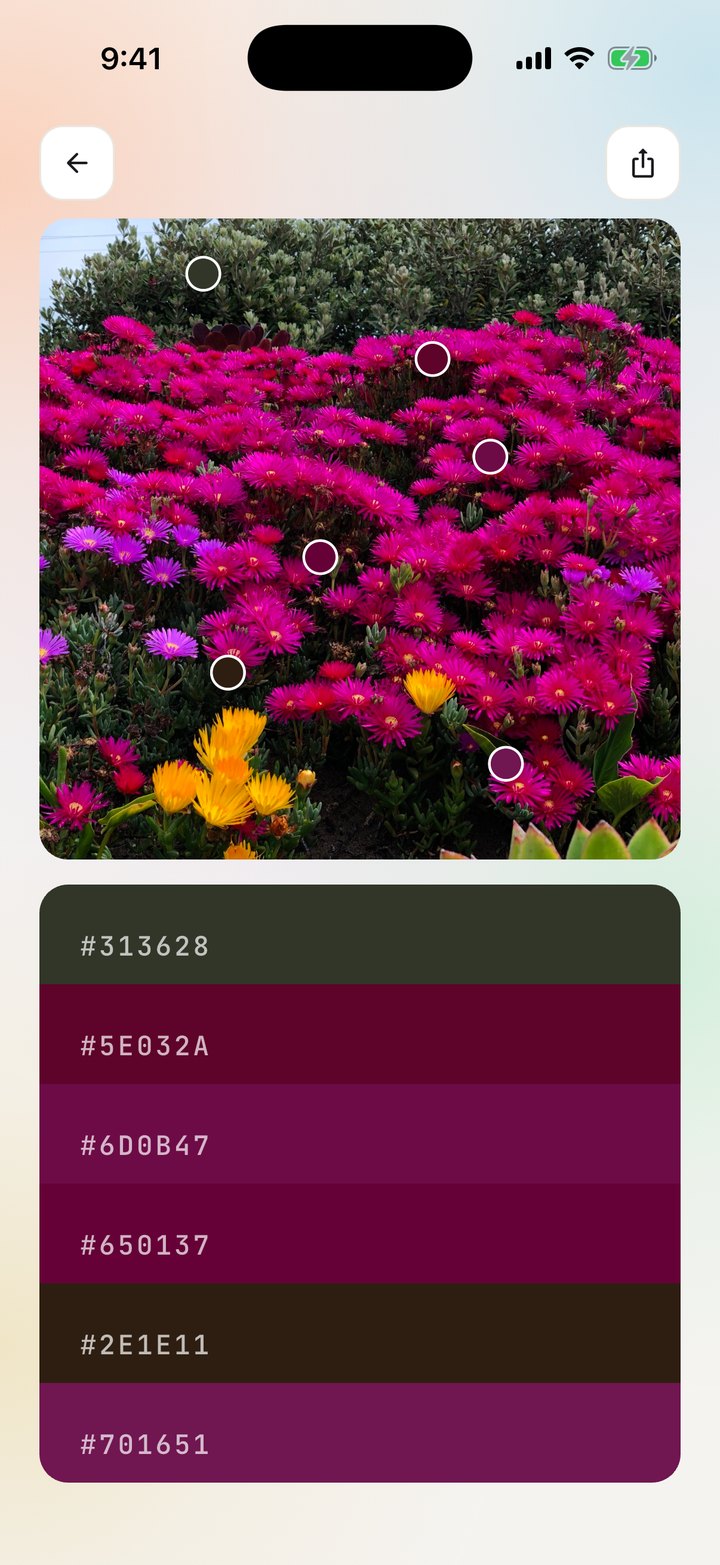 A photo of magenta flowers with six colours picked from it and their hex codes listed below
