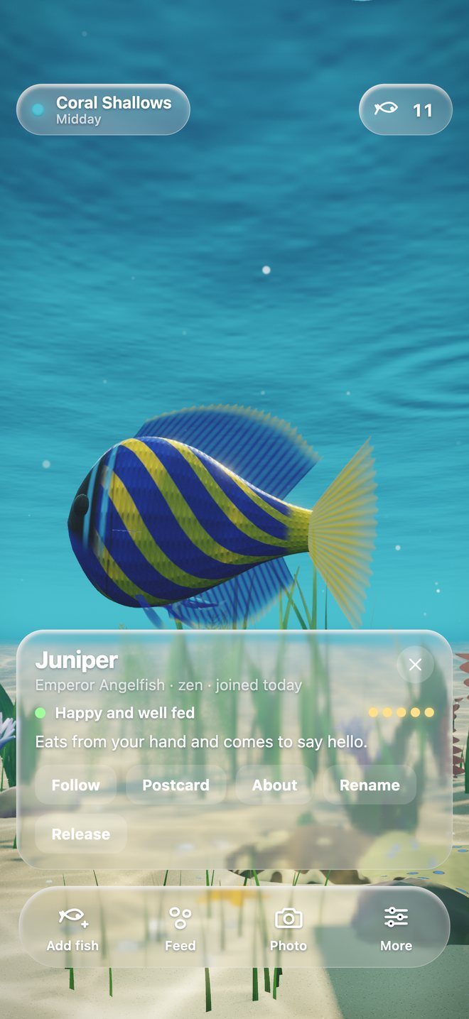 Juniper the emperor angelfish, happy and well fed, with five trust dots