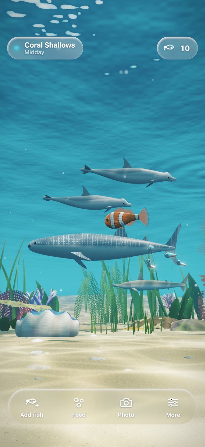 A whale shark, two bottlenose dolphins and a hammerhead swimming over the reef